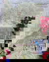 Alzohaib Shahzeb Vol 1 Organza Embroidery Pakistani Suits Wholesalers In Delhi